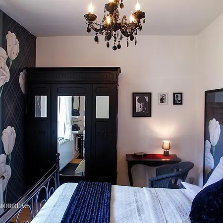 La Maison Des Papillon *